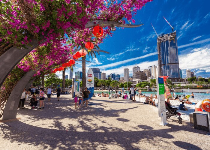Cultural Tours_ Embracing Brisbane's Heritage